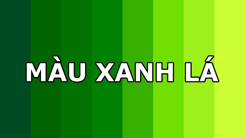 Cung Ma Kết hợp màu gì? Giải mã màu sắc đem lại may mắn