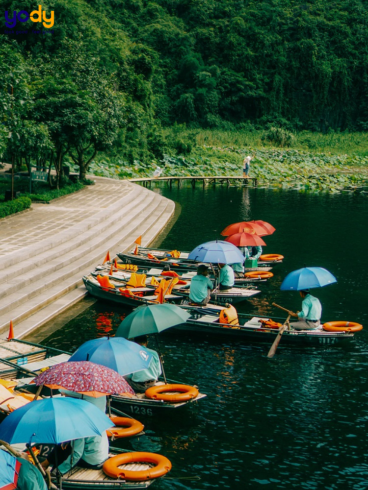 đi ninh bình mùa nào đẹp