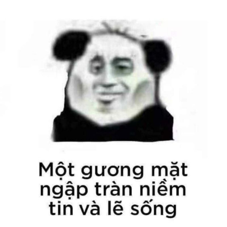 Meme gấu trúc vui nhộn