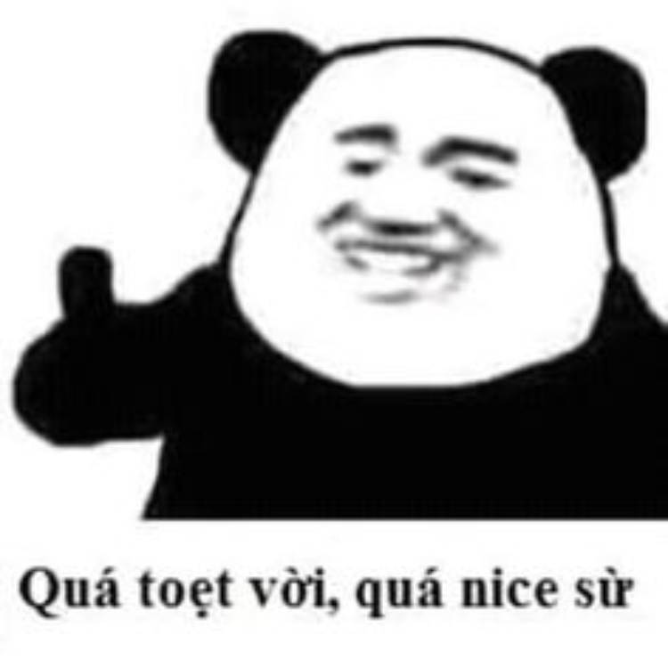 Meme gấu trúc thú vị