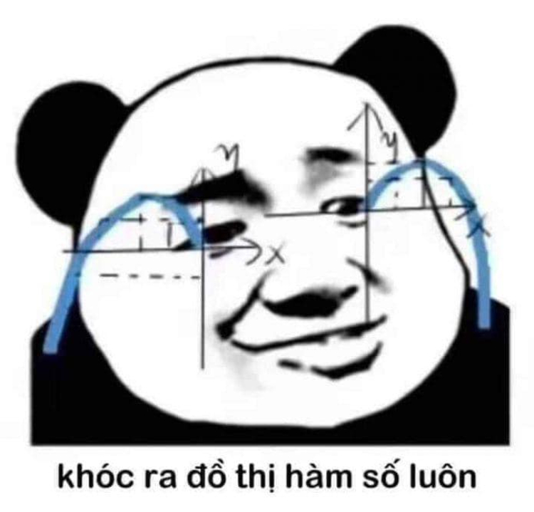 Gấu trúc meme khóc ra đồ thị hàm số