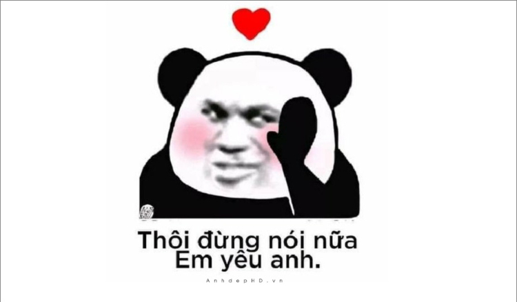 Gấu trúc meme độc đáo