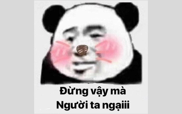 Gấu trúc meme ngại ngùng