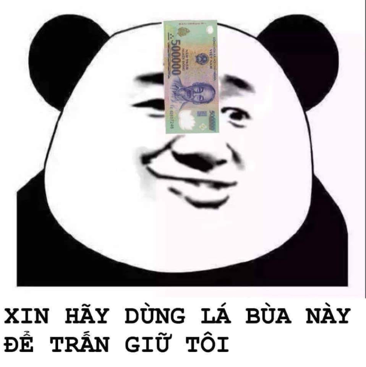 Gấu trúc meme với tờ 500k