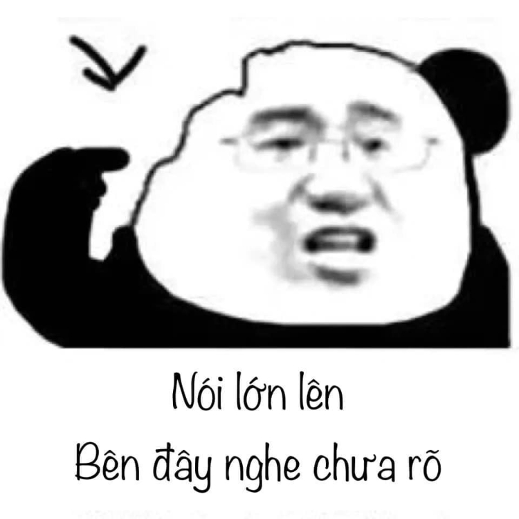 Ảnh meme gấu trúc hài