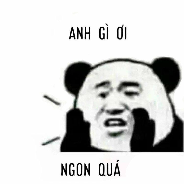 Ảnh meme gấu trúc tán tỉnh