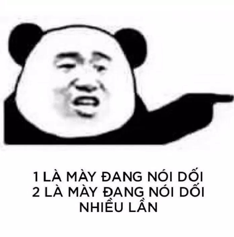 Ảnh meme gấu trúc cục tính