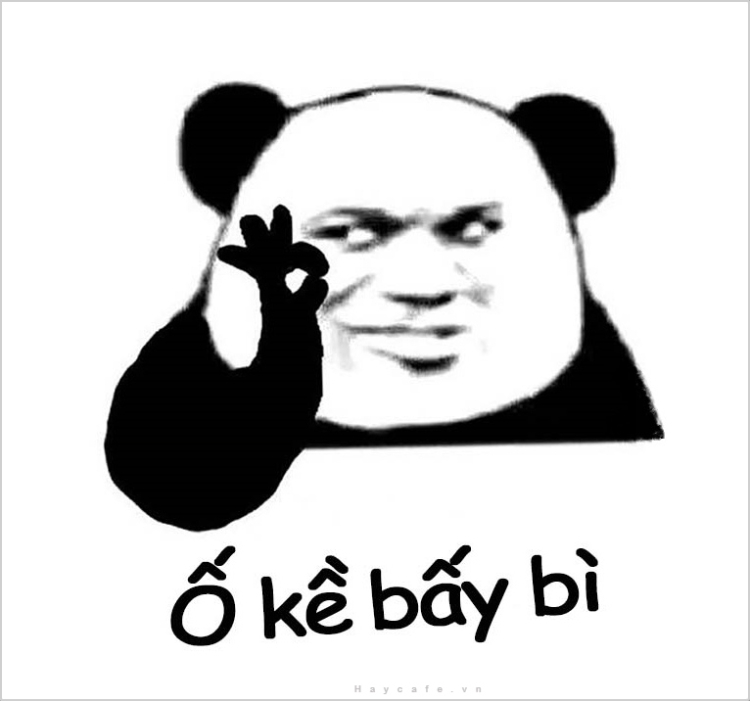 Meme gấu trúc giơ tay OK