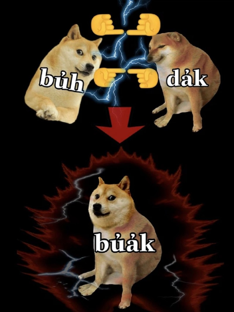 Ảnh meme doggo hài hước