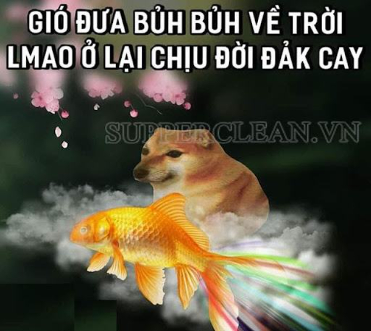 Ảnh meme thơ chế Lmao