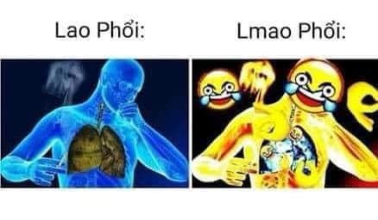 Ảnh meme Lmao phổi