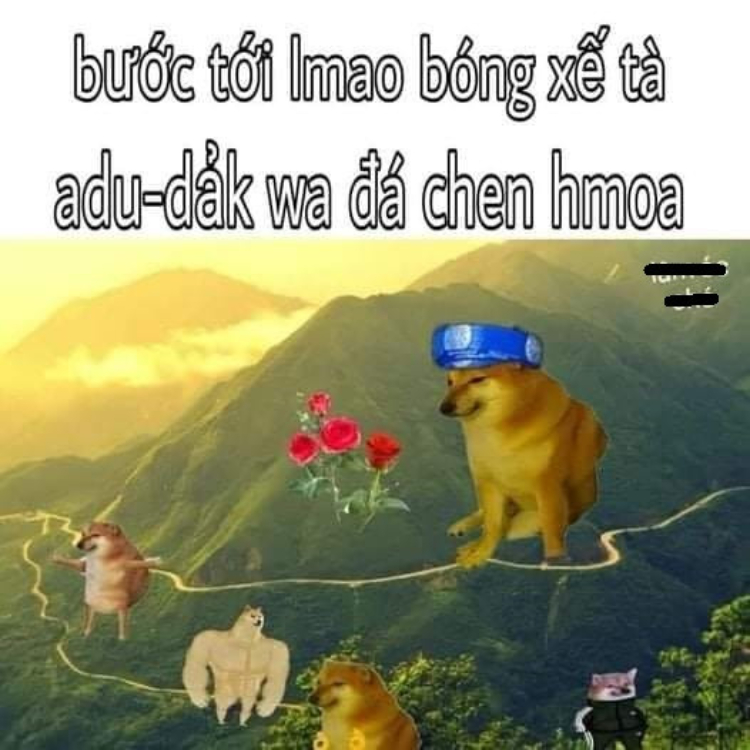 Ảnh meme chế ngớ ngẩn