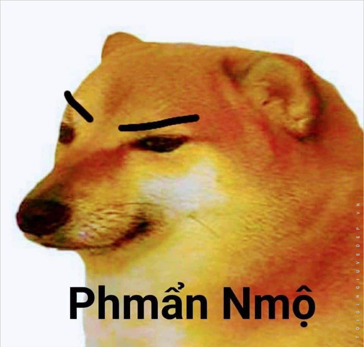 Ảnh meme doggo