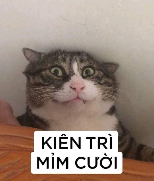 Meme bất lực