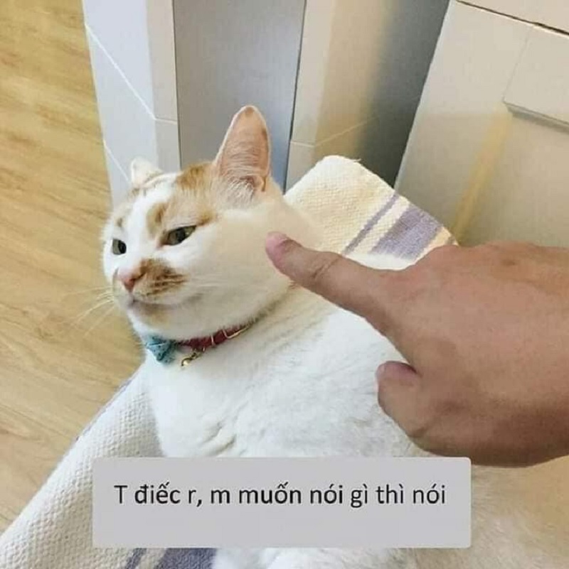 Meme bất lực