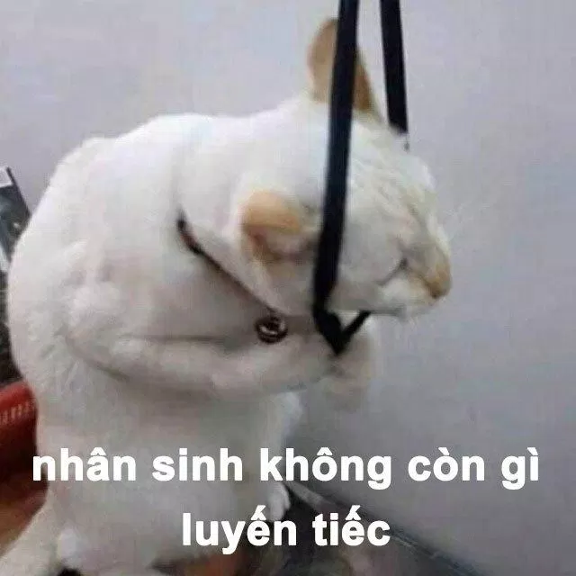 Meme bất lực