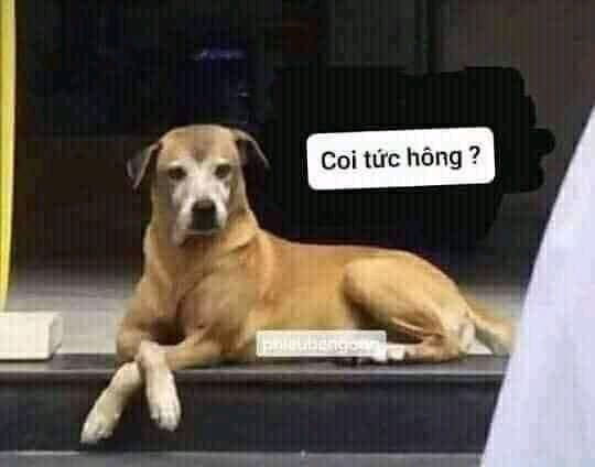 Meme bất lực