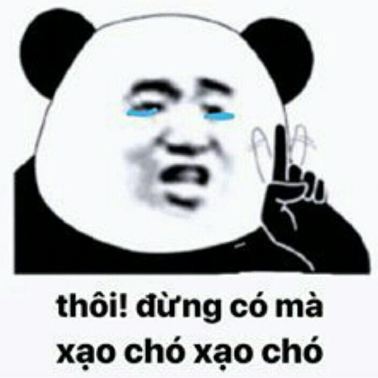 meme gấu trung quốc