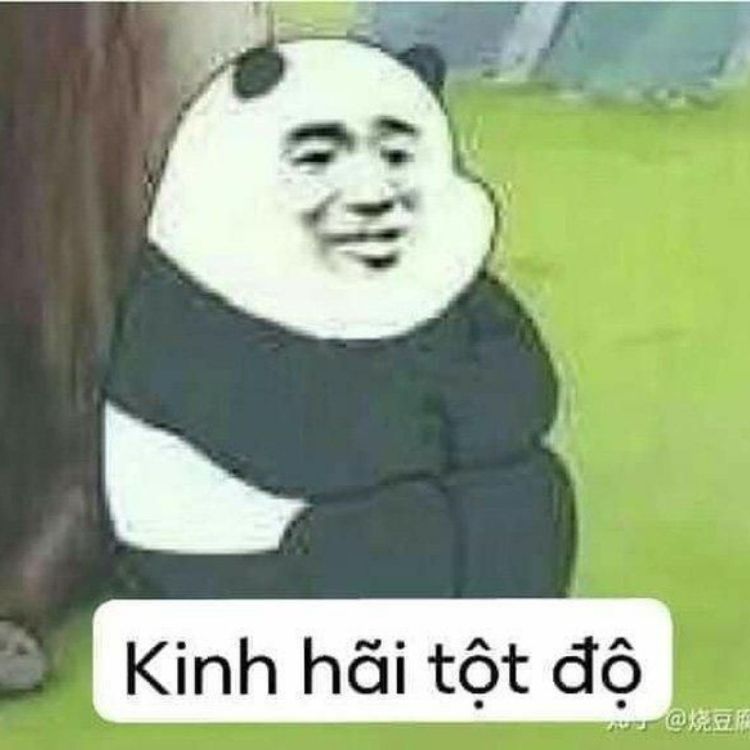 Kinh hãi tột độ