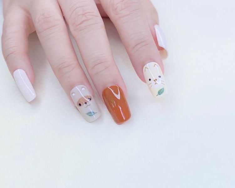 Nail box hoạ tiết chó mèo dễ thương