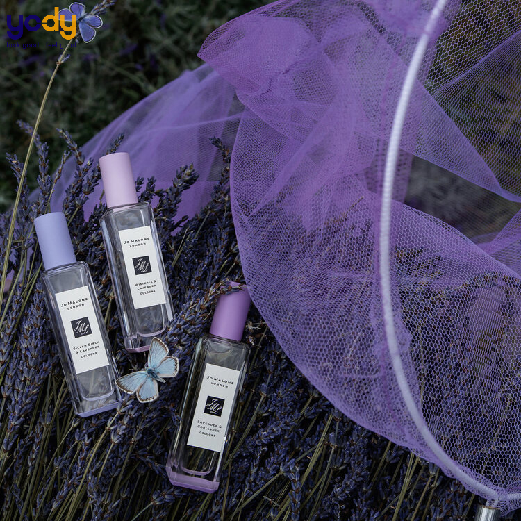 nước hoa lavender