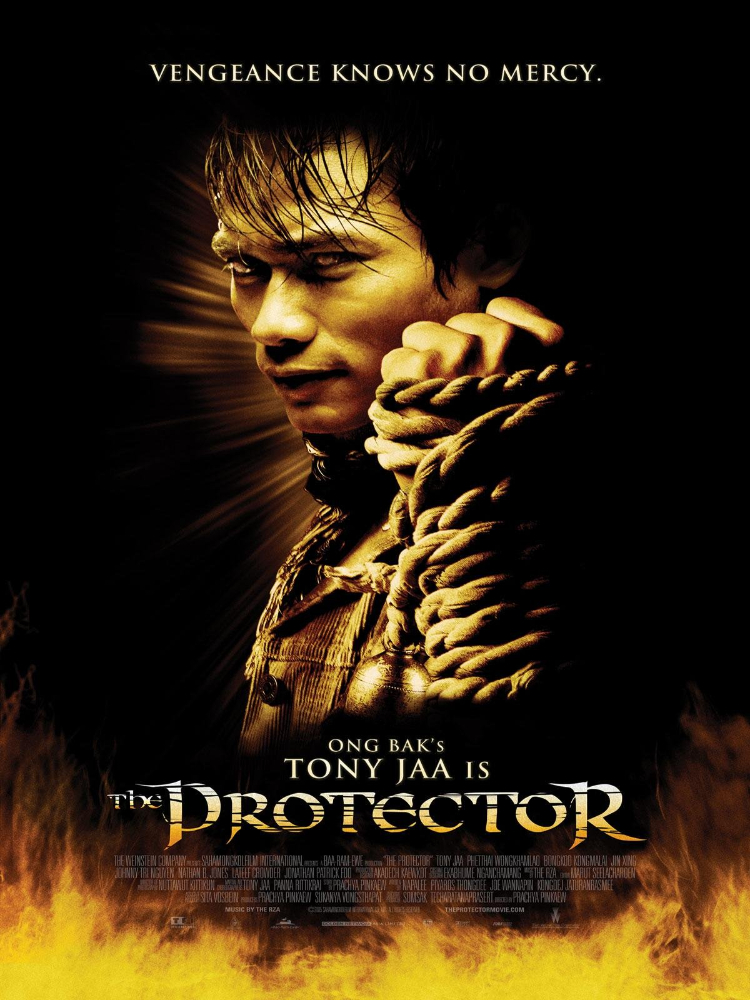 Phim võ thuật hay nhất The Protector