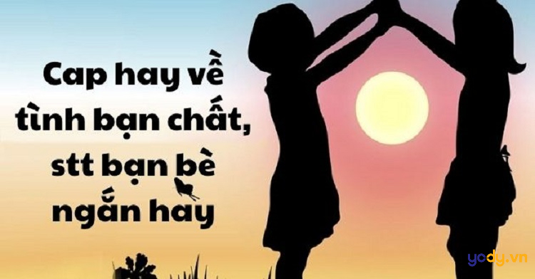 stt hay về tình bạn