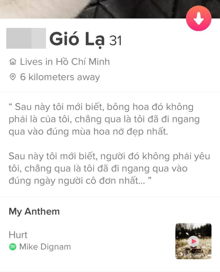 Bio tinder hay