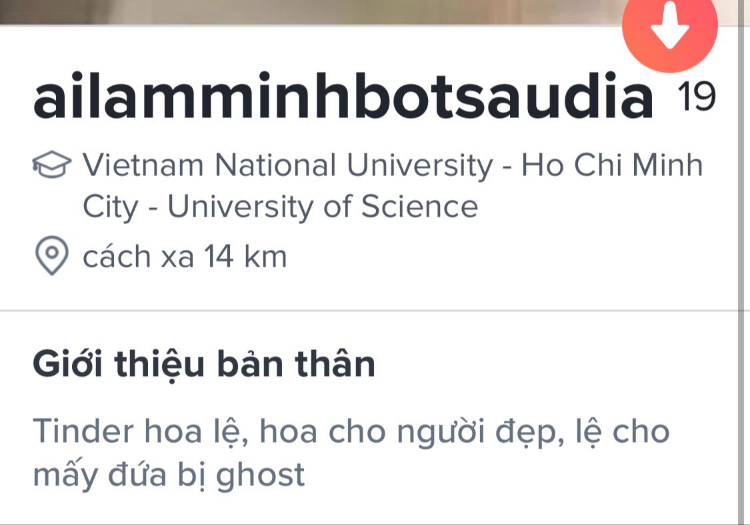 Bio Tinder thú vị