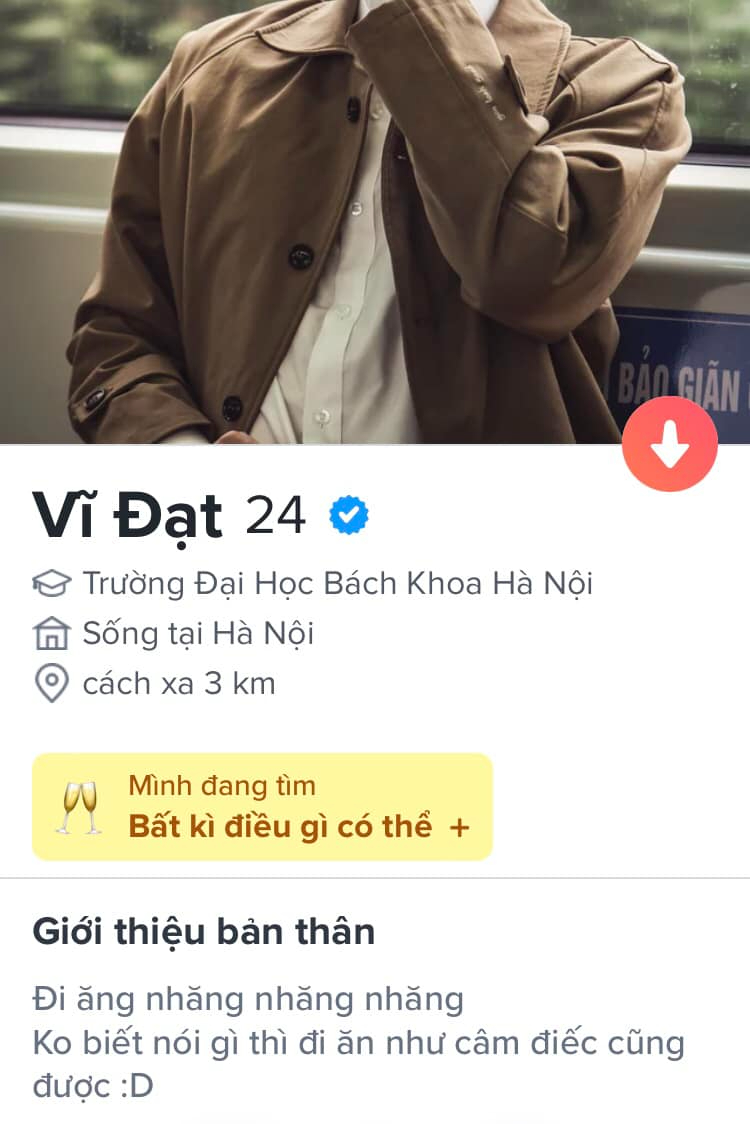 Bio Tinder đáng yêu