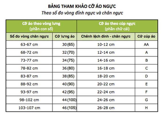 Bảng size áo lót theo số đo