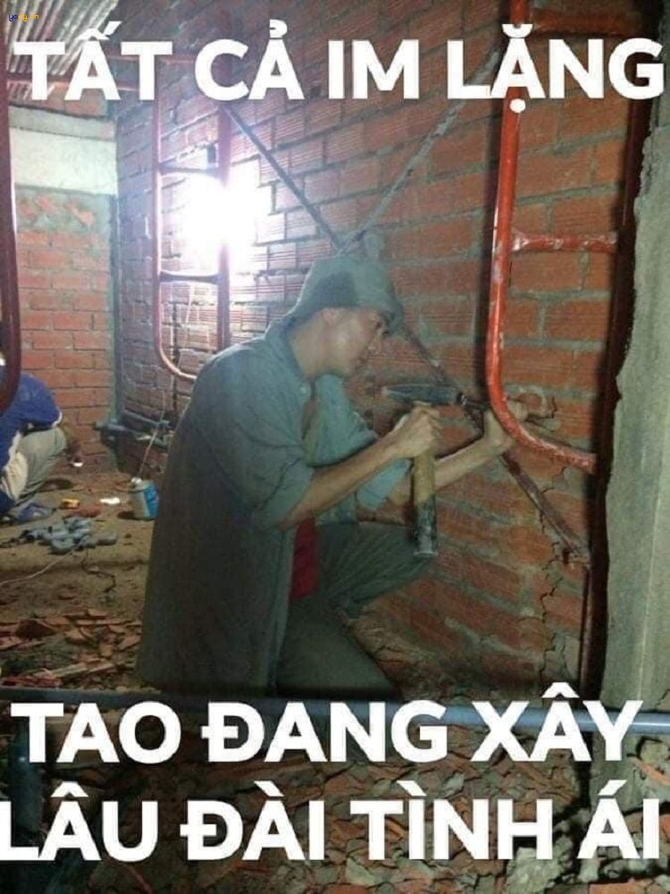 Lâu đài tình ái meme