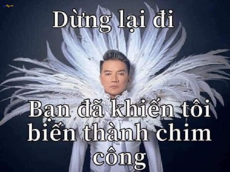 Đàm Vĩnh Hưng meme