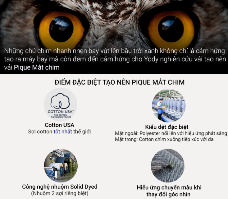 Vải Pique mắt chim - Chất liệu được ưa chuộng hiện nay