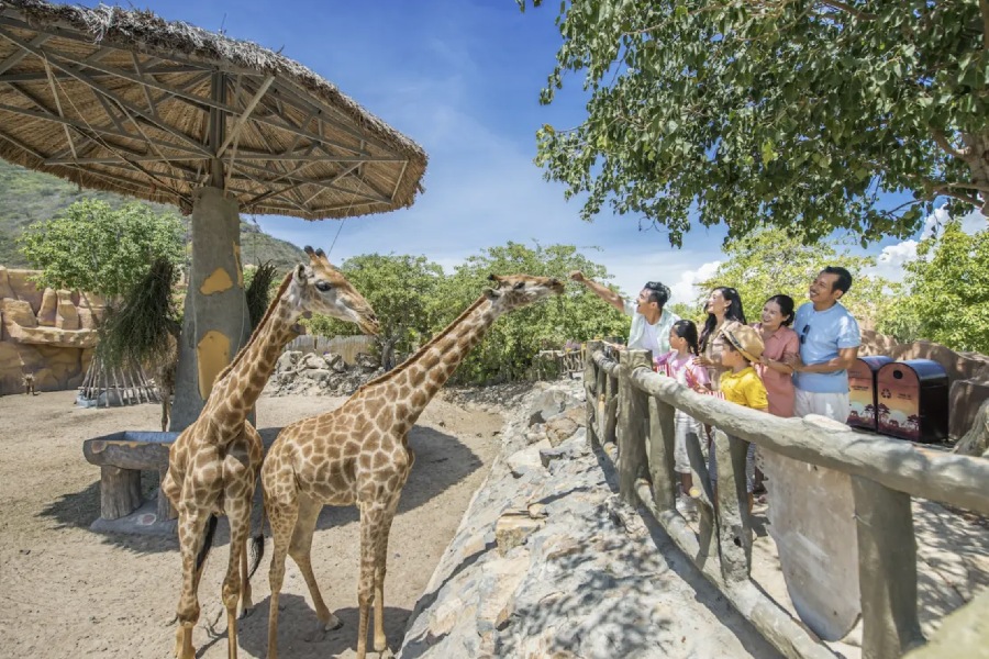 Có Safari Safari ở Nha Trang không? Những lưu ý khi...