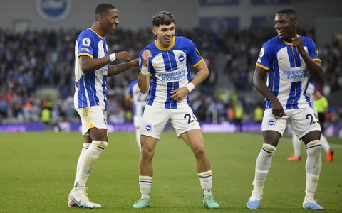 Lịch sử và thành tựu của Brighton & Hove Albion Club