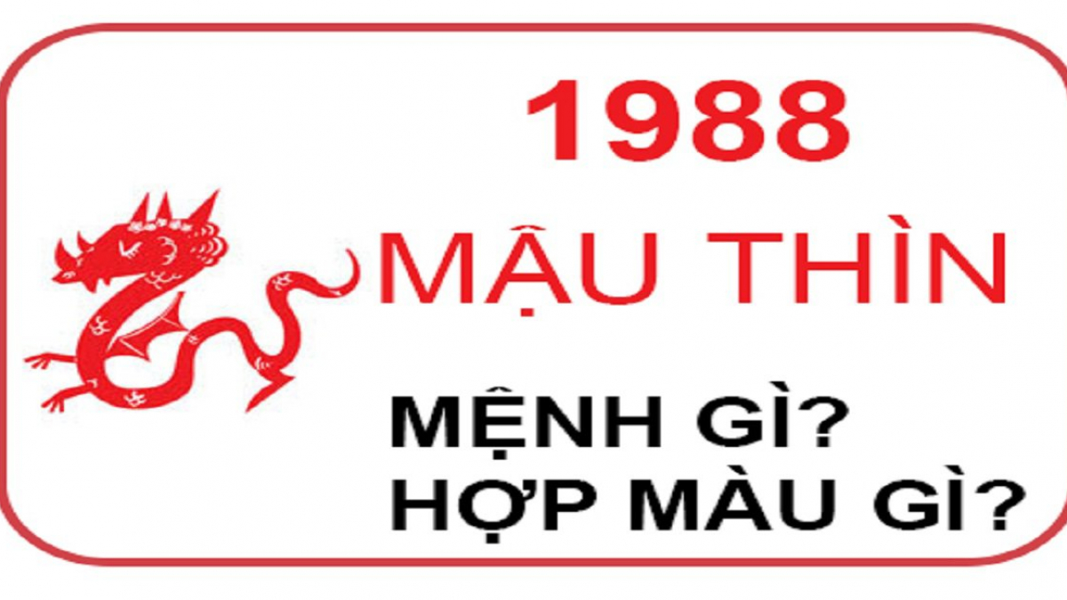 Sinh năm 1988 hợp màu gì? Bật mí màu sơn nhà đúng chuẩn dành cho tuổi Mậu Thìn 1988